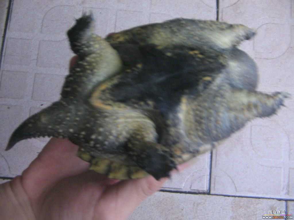 [�̼�]������֮�� ����·