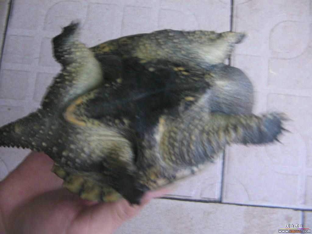 [�̼�]������֮�� ����·