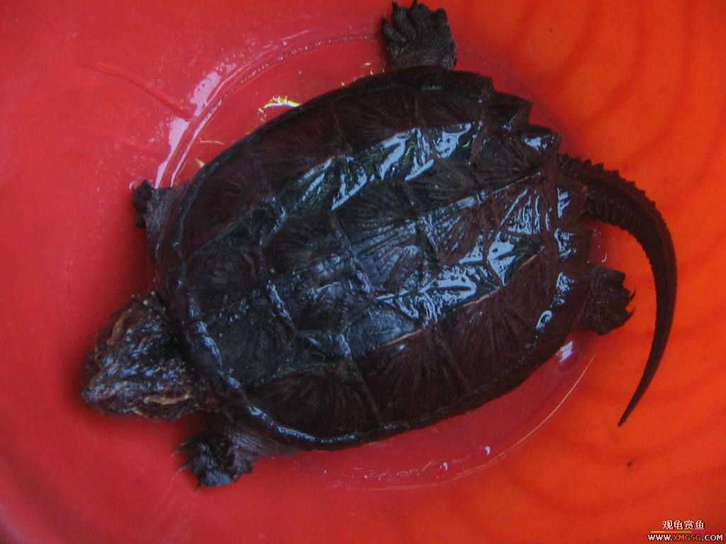 [�̼�]������֮�� ����·