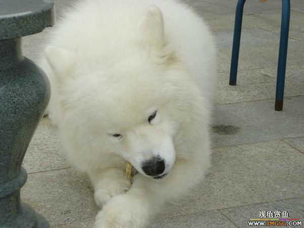 [ԭ��]�����������~~~~---�����������һ����