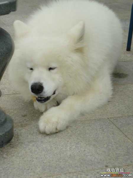 [ԭ��]�����������~~~~---�����������һ����