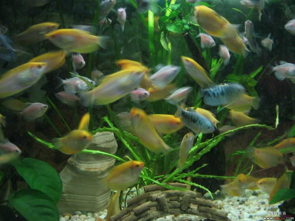 [�̼�]������֮�� ����·