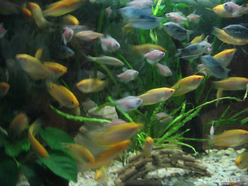 [�̼�]������֮�� ����·