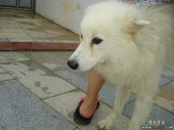 [ԭ��]�����������~~~~---�����������һ����