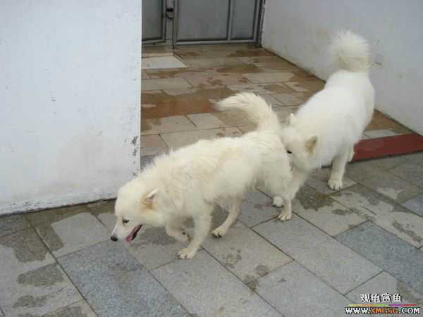 [ԭ��]�����������~~~~---�����������һ����