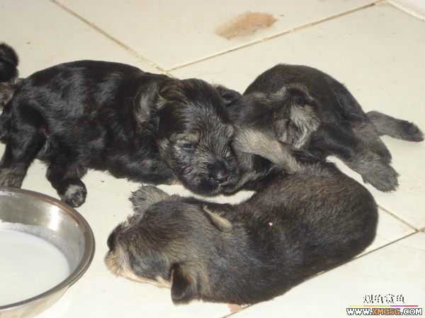 [ԭ��]�����������~~~~---�����������һ����