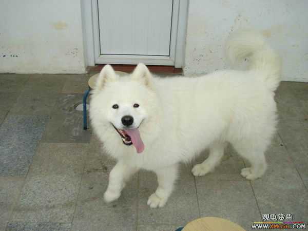 [ԭ��]�����������~~~~---�����������һ����