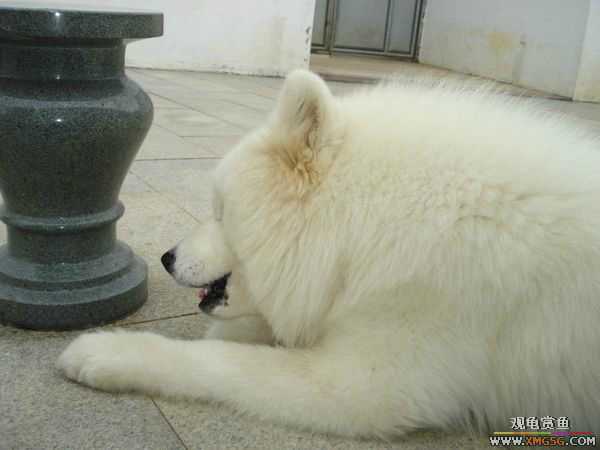 [ԭ��]�����������~~~~---�����������һ����