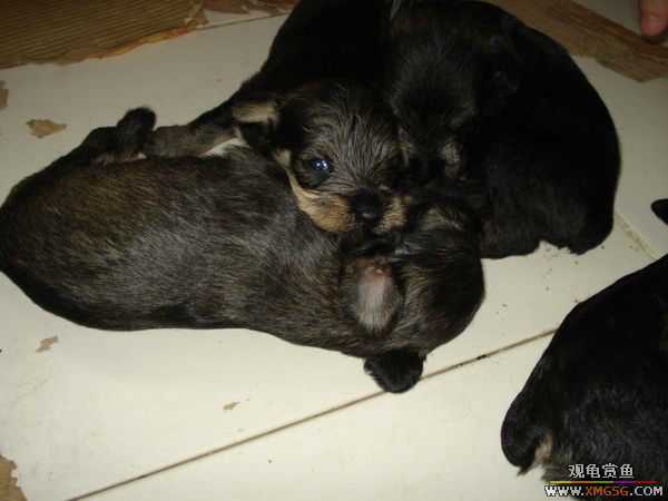 [ԭ��]�����������~~~~---�����������һ����