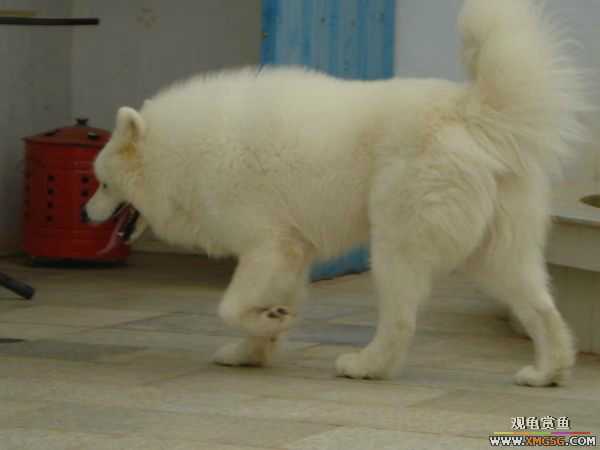 [ԭ��]�����������~~~~---�����������һ����