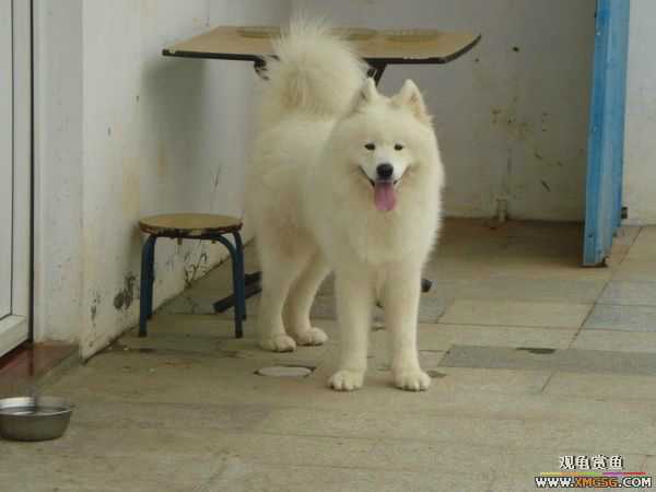 [ԭ��]�����������~~~~---�����������һ����