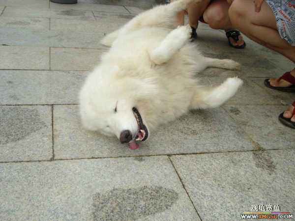 [ԭ��]�����������~~~~---�����������һ����