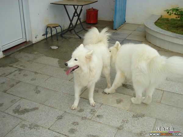 [ԭ��]�����������~~~~---�����������һ����