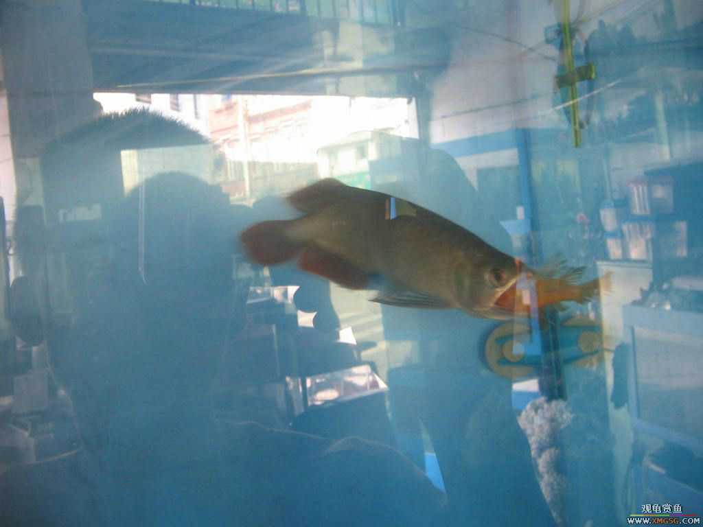 [�̼�]������֮�� ����·