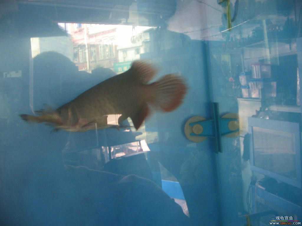 [�̼�]������֮�� ����·