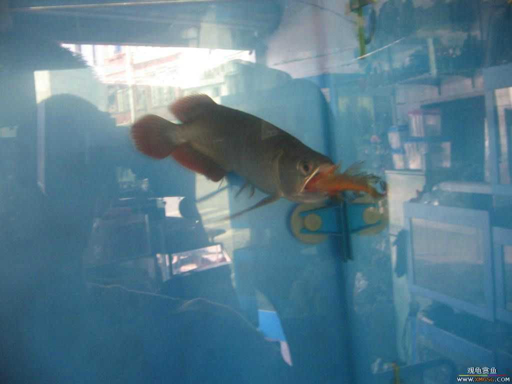 [�̼�]������֮�� ����·