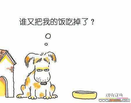 �����ӹ ����С����5