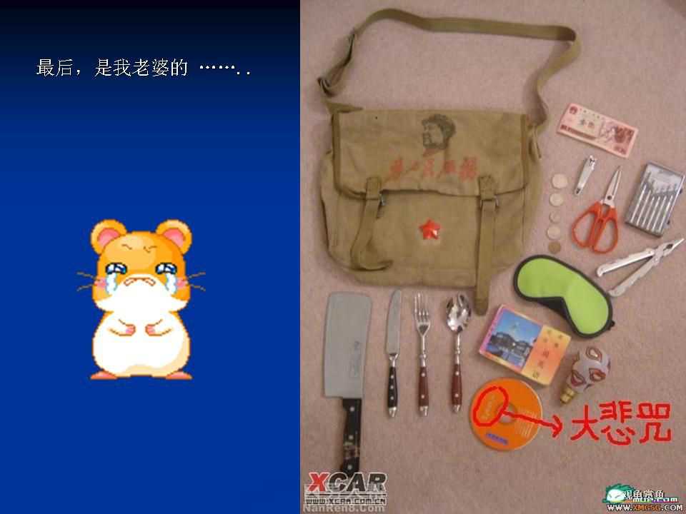 ���Ųμ�ͬѧ��������