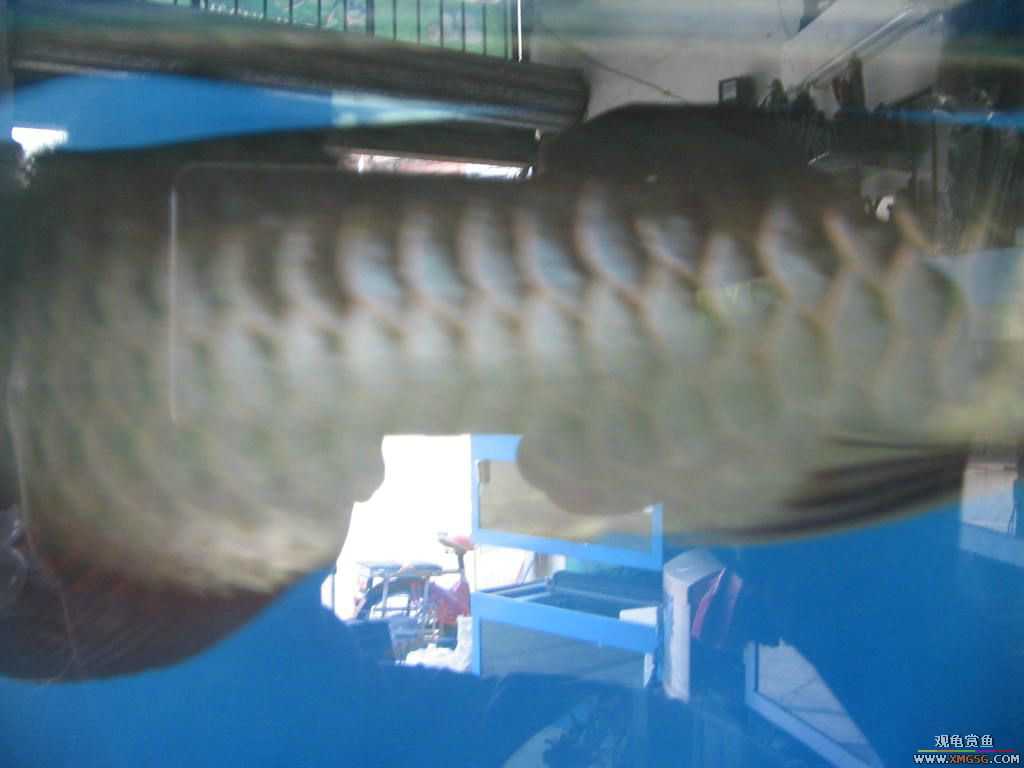 [�̼�]������֮�� ����·