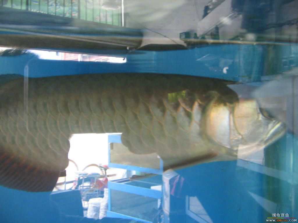 [�̼�]������֮�� ����·