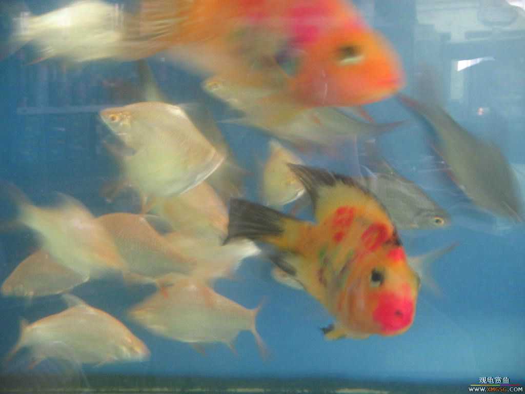 [�̼�]������֮�� ����·