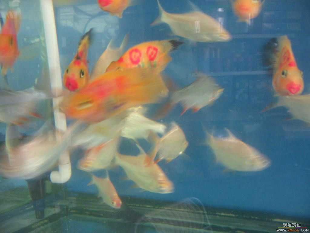 [�̼�]������֮�� ����·