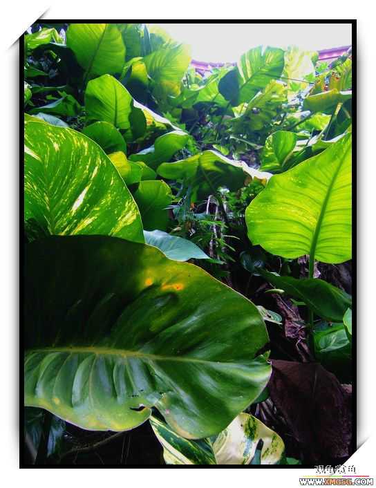 [ԭ��]2007��ȹ۹���̳����������