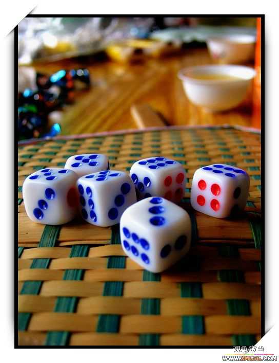 [ԭ��]2007��ȹ۹���̳����������