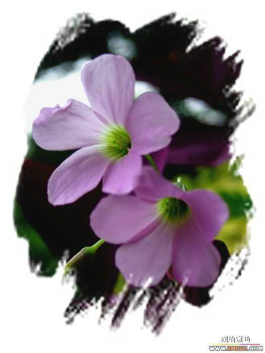 [ԭ��]2007��ȹ۹���̳����������