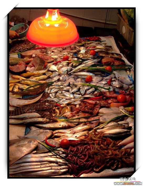 [ԭ��]2007��ȹ۹���̳����������