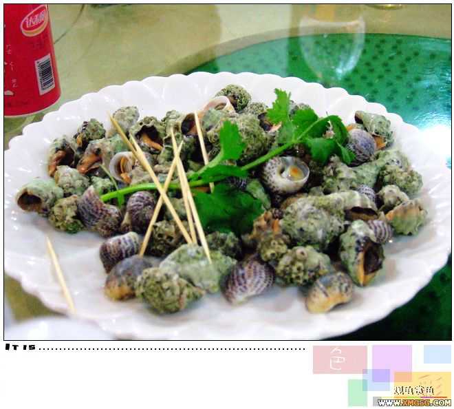 [ԭ��]2007��ȹ۹���̳����������