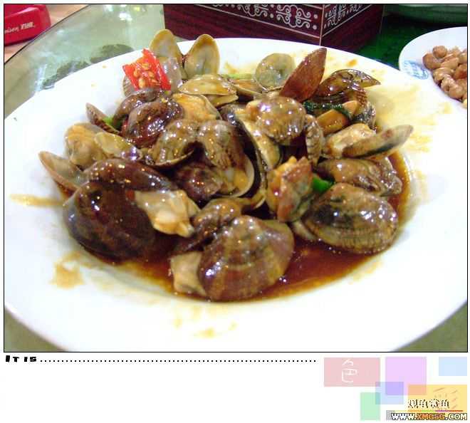 [ԭ��]2007��ȹ۹���̳����������