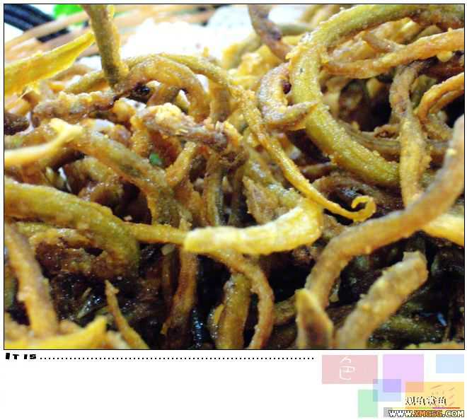 [ԭ��]2007��ȹ۹���̳����������