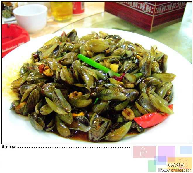 [ԭ��]2007��ȹ۹���̳����������