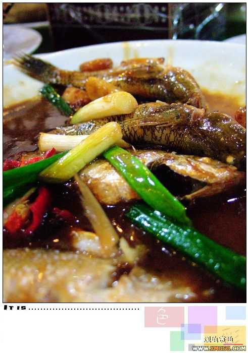 [ԭ��]2007��ȹ۹���̳����������