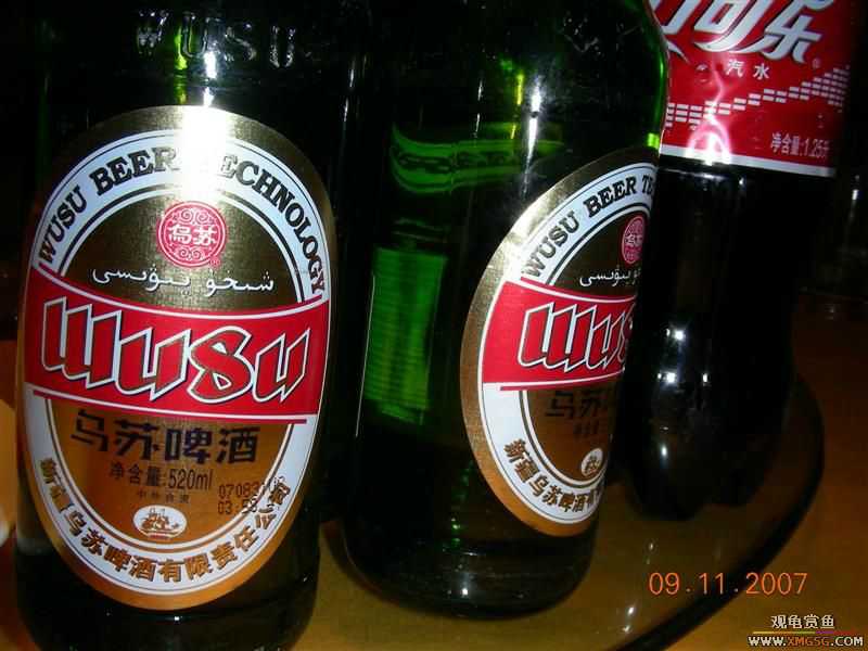 ���½����γ�ʲô