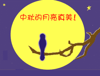 ף�۹��������������������!