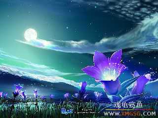 ף�۹��������������������!