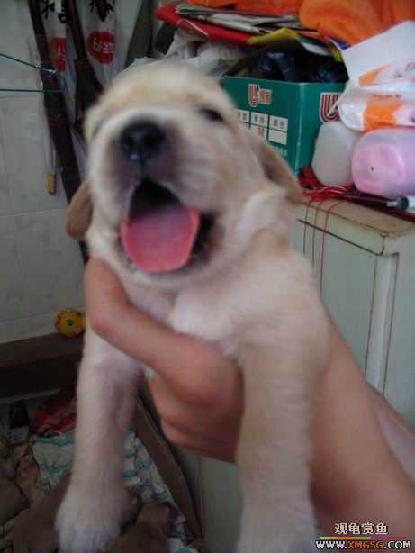 ����ϲ����ë������ע����