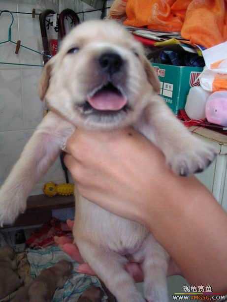 ����ϲ����ë������ע����