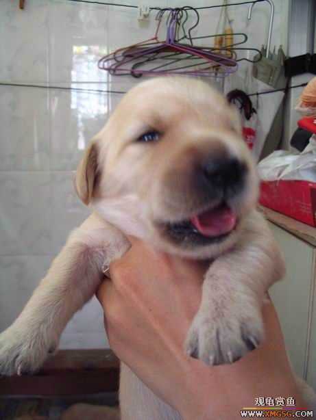 ����ϲ����ë������ע����