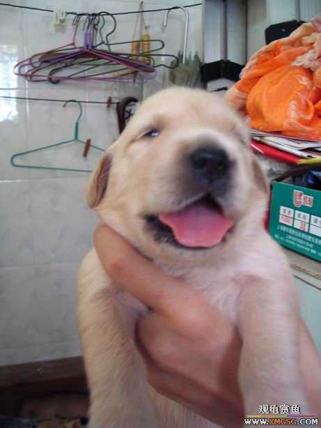 ����ϲ����ë������ע����