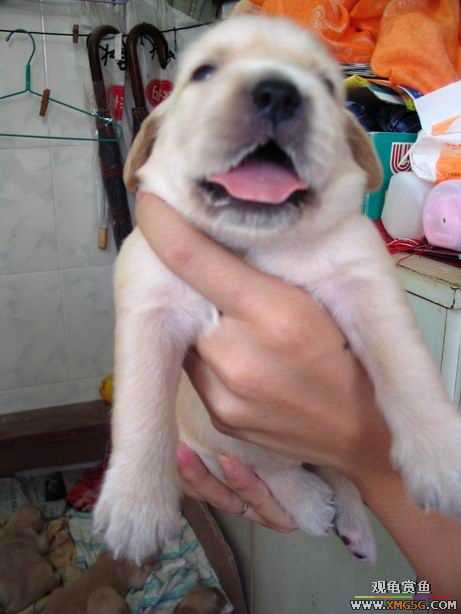 ����ϲ����ë������ע����