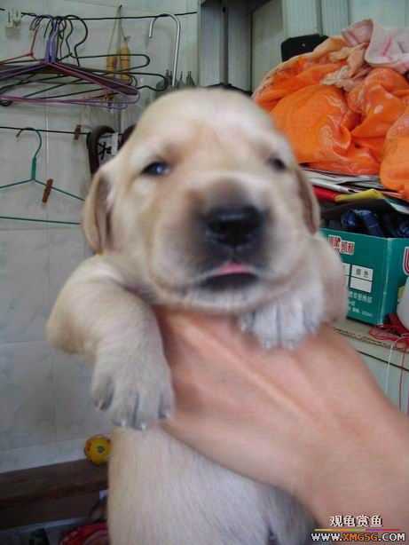 ����ϲ����ë������ע����