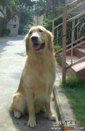 ����ϲ����ë������ע����