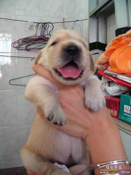 ����ϲ����ë������ע����