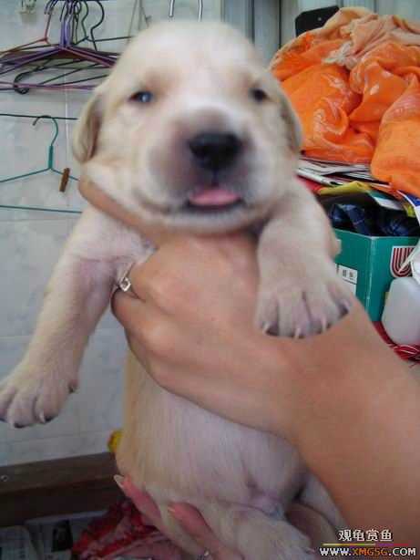 ����ϲ����ë������ע����