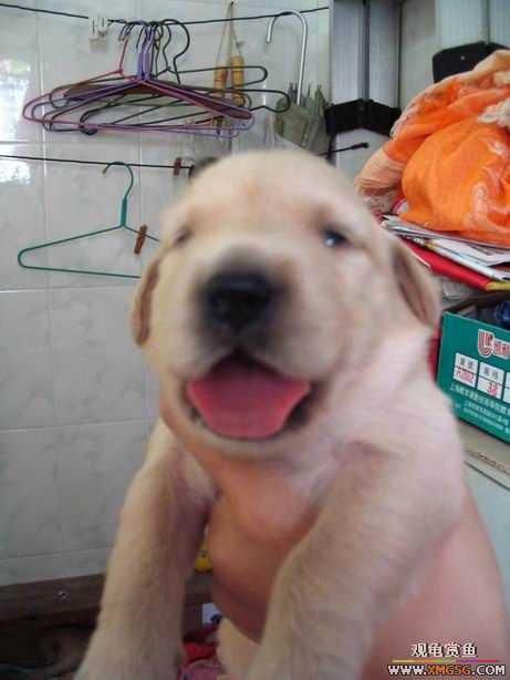 ����ϲ����ë������ע����