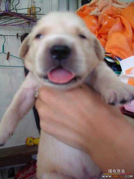 ����ϲ����ë������ע����