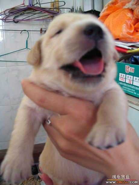 ����ϲ����ë������ע����